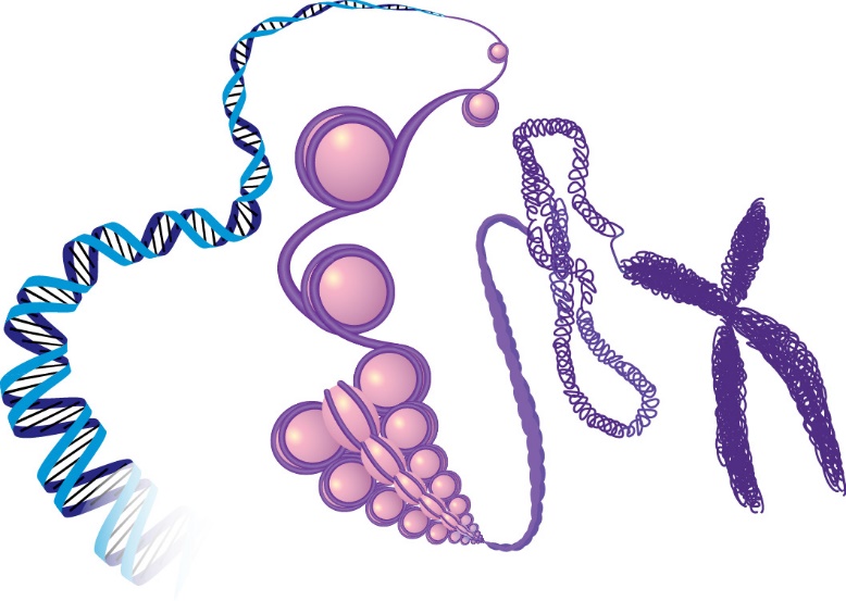 dna packaging