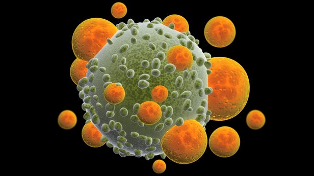 immunotherapy obesity