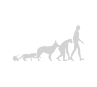 Info@Vitares.org
